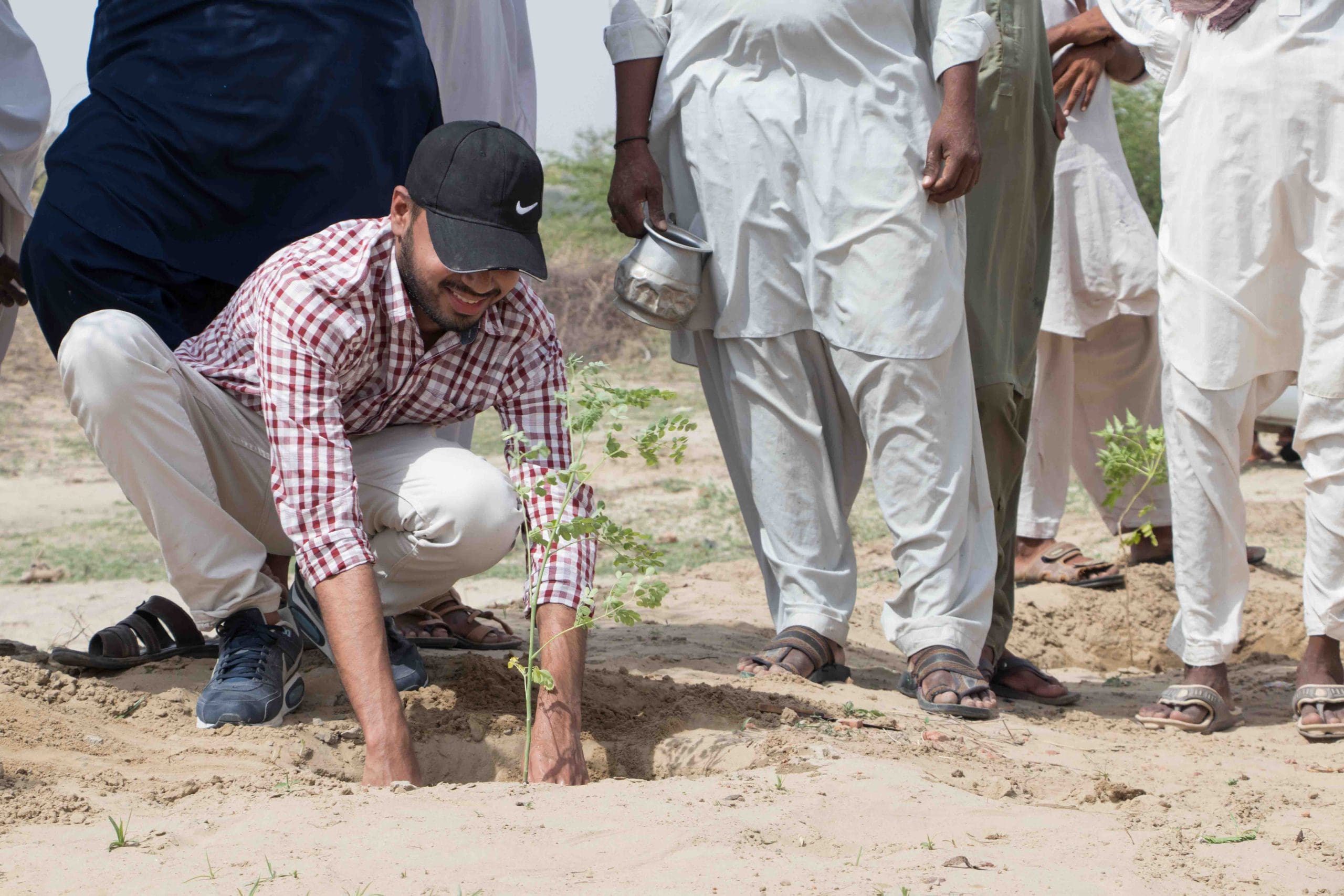 Tree planting environmental initiative